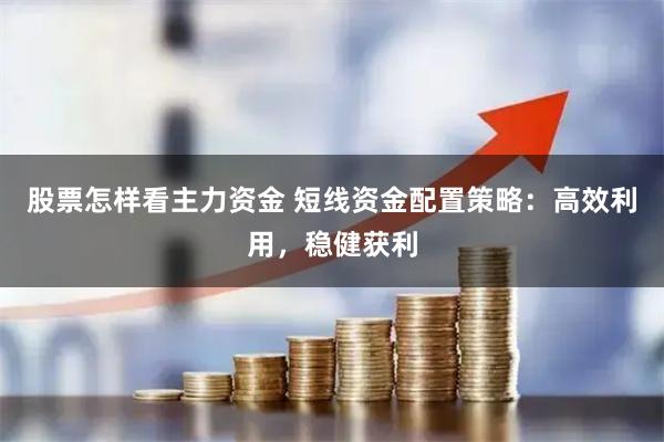 股票怎样看主力资金 短线资金配置策略：高效利用，稳健获利