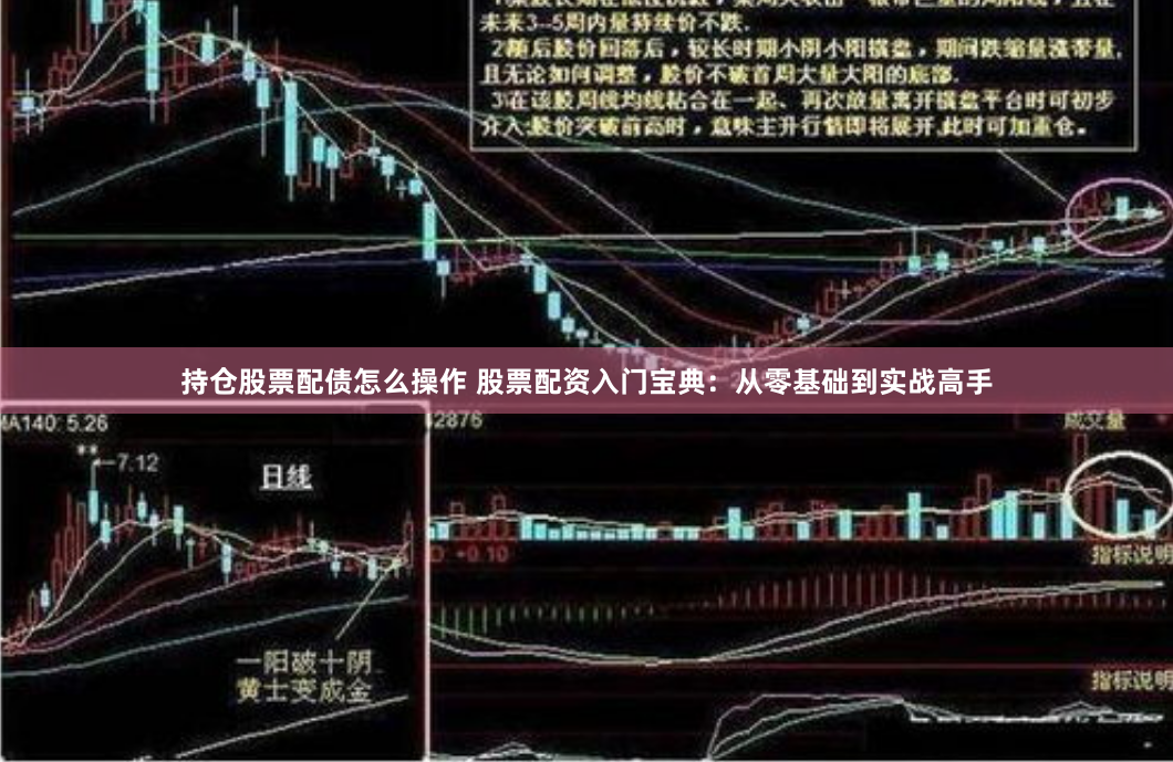 持仓股票配债怎么操作 股票配资入门宝典：从零基础到实战高手