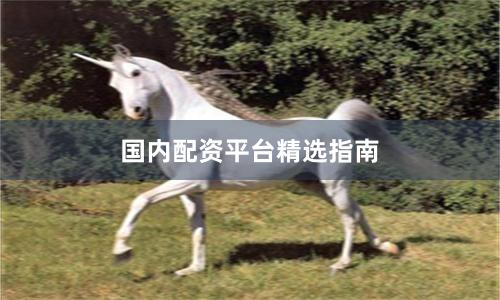国内配资平台精选指南